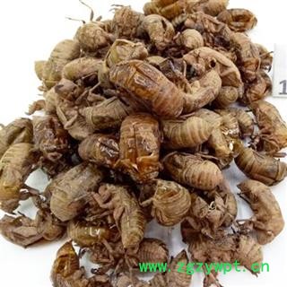 蝉蜕 蝉蜕 选货 产地 四川省德阳市罗江县 邓氏图2