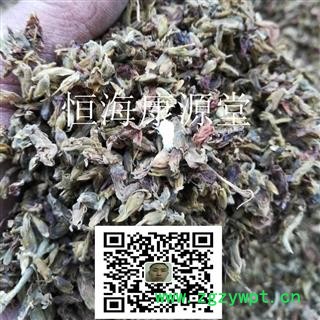 恒海康源堂 芫花 芫花根  闷头花 优质 正品图2