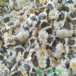 菊花茶500g特级黄山贡菊  杭白菊花黄菊花  胎菊王茶散装批發图2