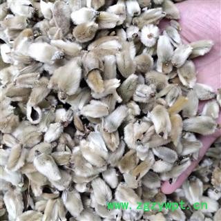 辛夷 辛夷桃 产地南召 5斤运费6元图3