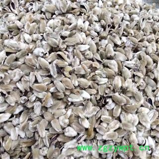 辛夷 辛夷桃 产地南召 5斤运费6元图4