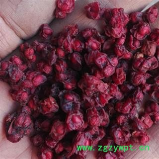 新辉药业正品优质 五味子  北五味  辽五味 新货