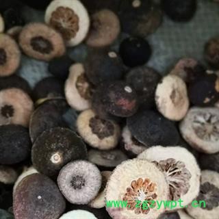 新辉药业正品枳实 鹅眼枳实 另有枳实个图2