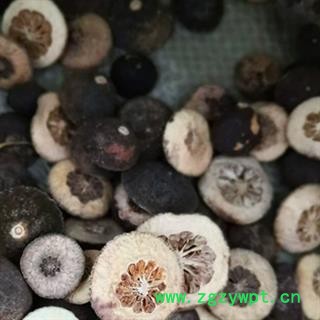 新辉药业正品枳实 鹅眼枳实 另有枳实个图3