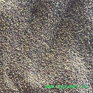 新辉药业菟丝子图2