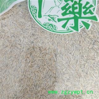 新辉药业生菜籽  莴苣子  白巨胜  新货无硫图3