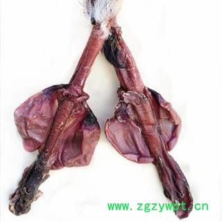 鹿鞭 梅花鹿鞭，重80-100克左右 产地 吉林省白山市抚松县图3