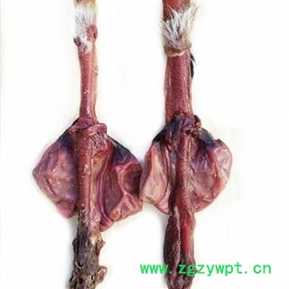 鹿鞭 梅花鹿鞭，重80-100克左右 产地 吉林省白山市抚松县图2