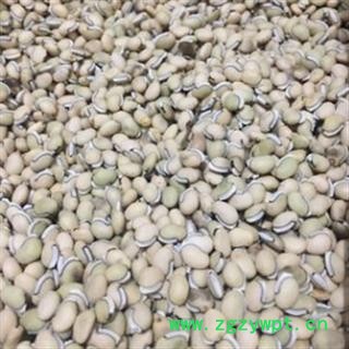 新辉药业中药材白扁豆  火镰扁豆 南扁豆 峨嵋豆图2