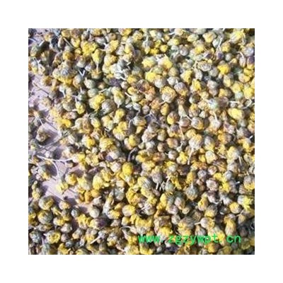 野菊花 统 产地 湖北省黄冈市麻城市2018年新货 花茶也可作枕头