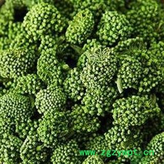 三七花 三年生三七花无柄大选货 ( 下单送量勺 ) 产地 云南省文山壮族苗族自治州文山县图3