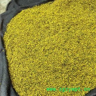 野菊花 野菊花统货 产地 河南省南阳市图3