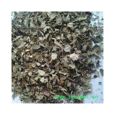 金银花叶  统货  无杂质  含少许金银花沫 自然晒干  大货优惠