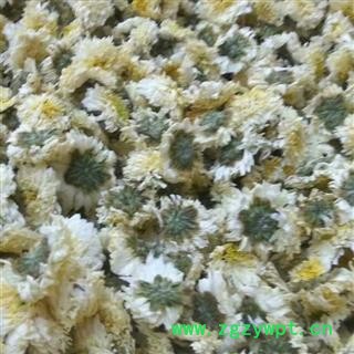 菊花 苦贡菊选货图4