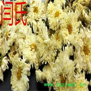 菊花 苦贡菊选货图3