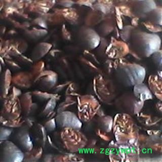 土鳖虫，土元， 统货， 产地 河南省禹州市药市图3