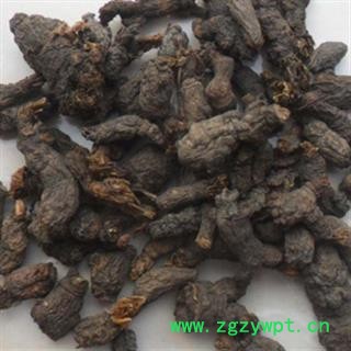 新辉药业天葵子 紫背天葵子 千年老鼠屎 散血珠图2