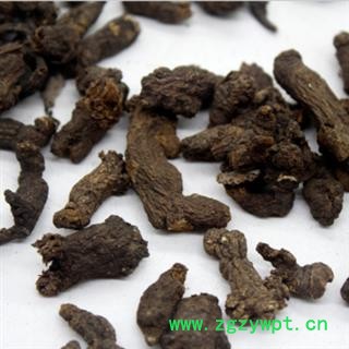 新辉药业天葵子 紫背天葵子 千年老鼠屎 散血珠图3