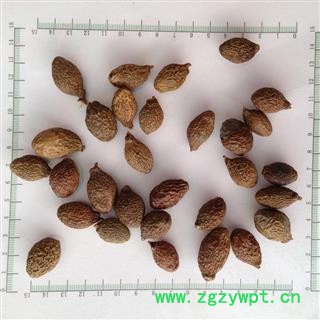 新辉药业正品胖大海 优质圆果图2