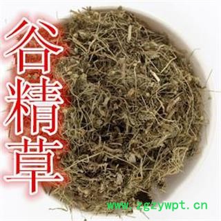 问心堂药业供应中药材谷精草耳朵刷子、挖耳朵草、珍珠草、鼓槌草图2