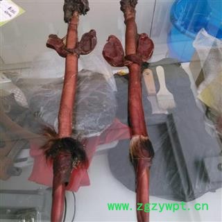 鹿鞭，产地直销长白山梅花鹿鞭，正品，假一赔十图2