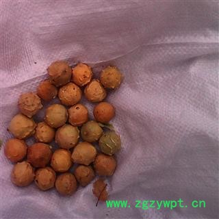 没食子 统 产地 广西壮族自治区桂林市秀峰区图4