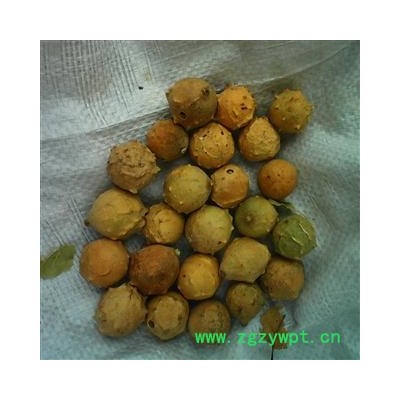 没食子 统 产地 广西壮族自治区桂林市秀峰区