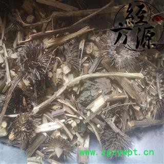 紫锥菊T 紫锥花、紫锥菊、紫松果菊 松果菊  统 产地 辽宁省图2