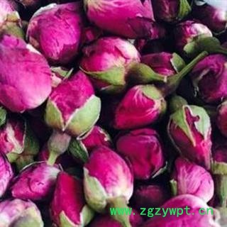 玫瑰花 山东玫瑰王 产地 山东省菏泽市图2