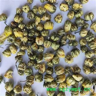 菊花 胎菊未开花选货 产地 浙江省图2
