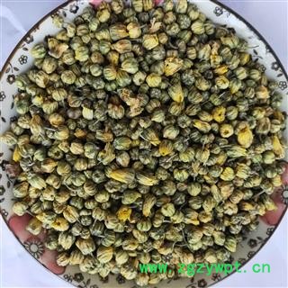 菊花 胎菊未开花选货 产地 浙江省图4