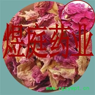 煜庭药业 杜鹃花图2