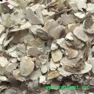 牡蛎 统 产地 山东省图2