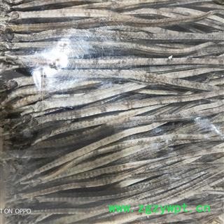 海龙 新到海龙选货,无虫蛀无断条货好价格优实物拍摄 产地 福建省图2