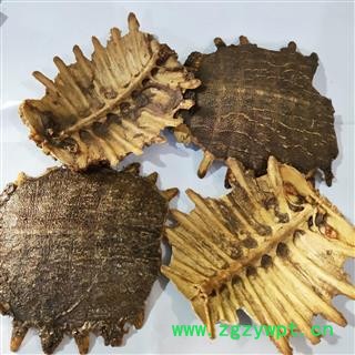 鳖甲 本店新到炒鳖甲净货 产地 山东省图2