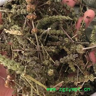 荆芥穗 荆芥穗好统货 颜色好 产地直销 供应各种中药材 冷背货 矿石等 产地 山东省图2