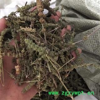荆芥穗 荆芥穗好统货 颜色好 产地直销 供应各种中药材 冷背货 矿石等 产地 山东省图4