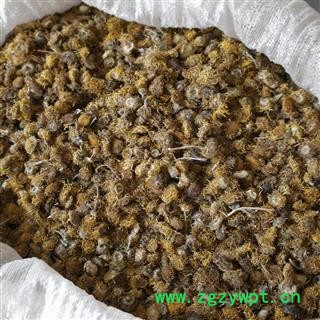 旋覆花 旋覆花统货 旋复花 产地 山东省 农户采摘 今年新货 供应各种中药材图4