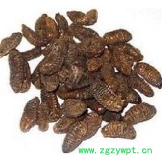 煜庭药业 蛴螬 白土蚕、核桃虫 地蚕 地蚕、乳齐、应条 返现进行中图2