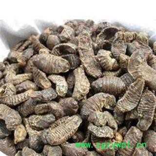 煜庭药业 蛴螬 白土蚕、核桃虫 地蚕 地蚕、乳齐、应条 返现进行中图4