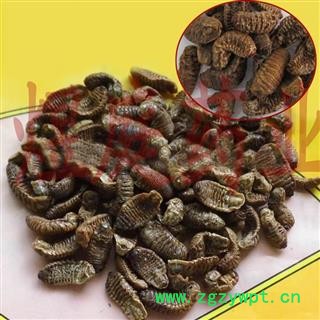 煜庭药业 蛴螬 白土蚕、核桃虫 地蚕 地蚕、乳齐、应条 返现进行中图3