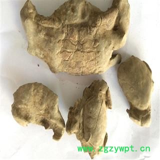 煜庭药业 石蟹 石螃蟹 螃蟹化石 正品图4