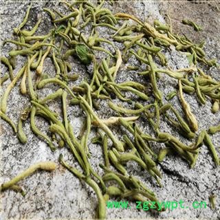 金银花 干金银花茶 秦岭野生金银花1000g特级无硫野生无硫去火茶图4