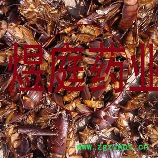 煜庭药业 蟑螂 偷油婆 黄狼婆图4