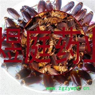 煜庭药业 蟑螂 偷油婆 黄狼婆图2