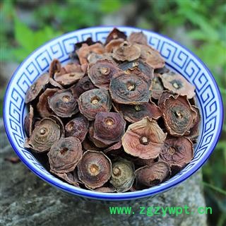 秦岭野生优质带柄柿蒂500克柿钱柿子把柿萼丁柿子蒂柿子盖图2