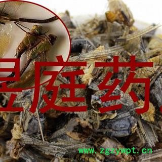 煜庭药业 蜻蜓 马大头 猫猫丁图4