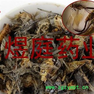 煜庭药业 蜻蜓 马大头 猫猫丁图3