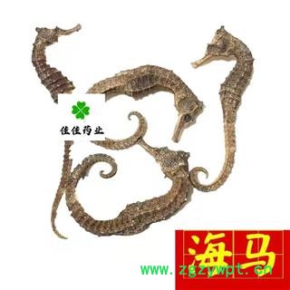 海马 海马中条1.0-1.5克左右一条 产地 广东省 正品净货 无加重 个头匀陈 供应各类中药材 冷背货矿石等图3