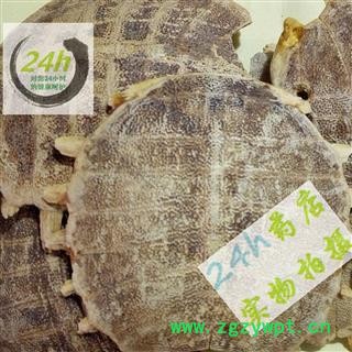 四海商联 鳖甲 正品 元鱼 批发花草茶 中药材 矿石图2